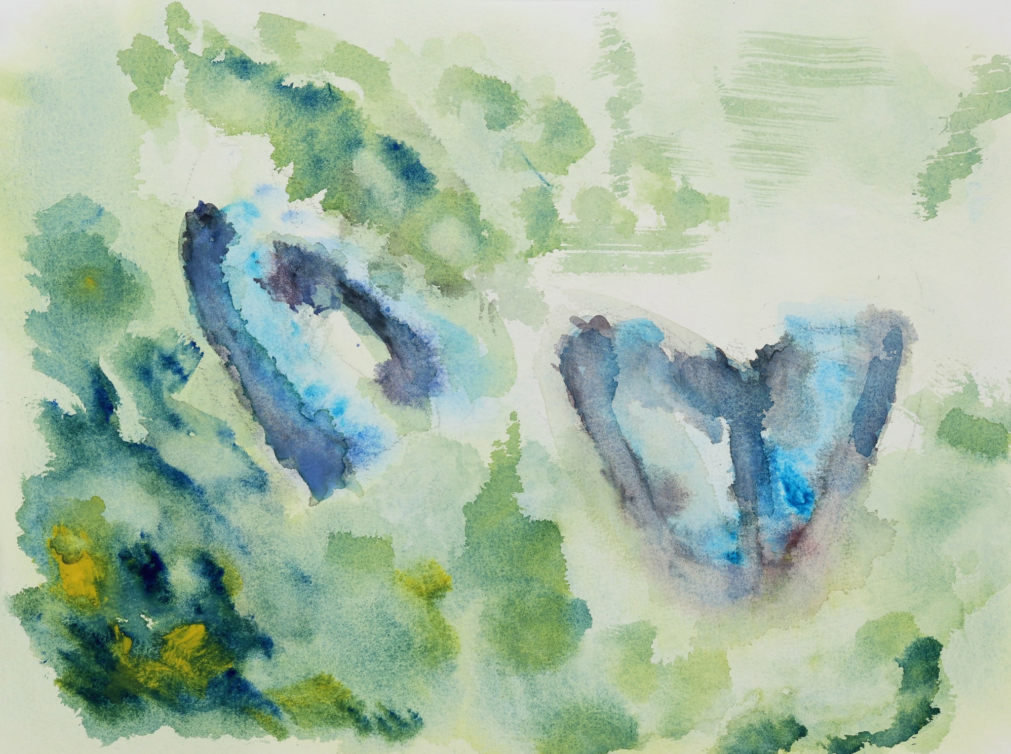 Genaderd, aquarel van 𒀭Toon